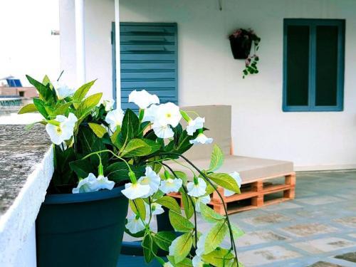 Apartamento Casa Vacanze Civico 74