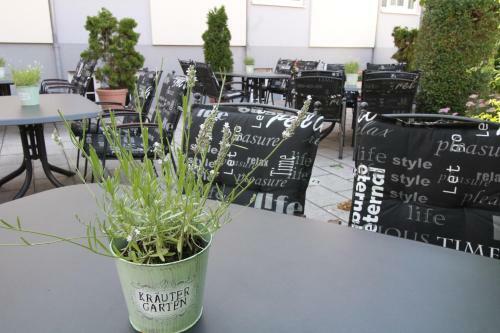 Landhotel Weisser Schwan