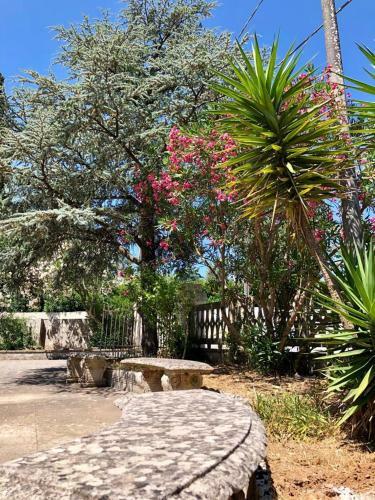 Casa Vacanze Salento - Villa Diso