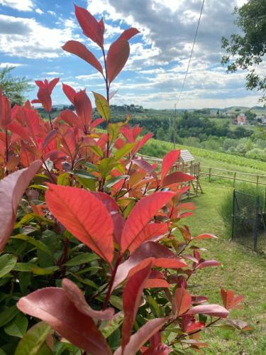 Apartamento Podere Boscone