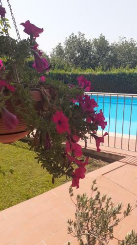 Apartamento Agriturismo Il Pino - Appartamento Cipresso