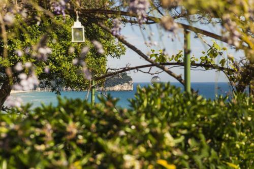 Villa Venerella - Holiday House