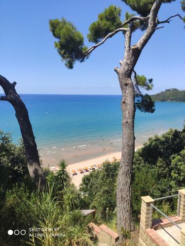 Apartamento Min�