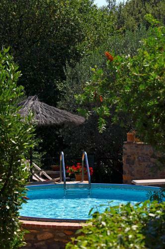 Villa Ginestra A "casa Conti Di Sotto"