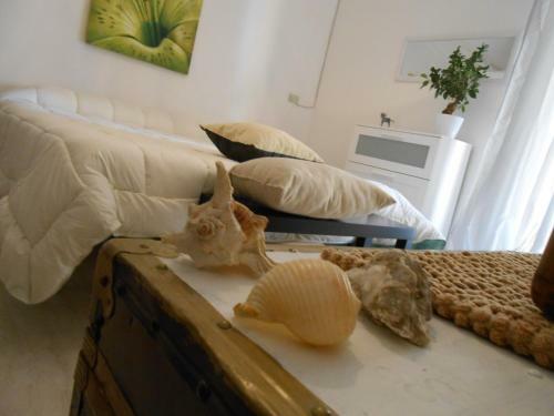 Hostal Casa Bella