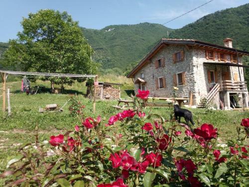 Hostal Ca' Del R�