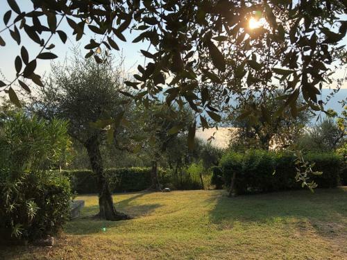 Casa Elisa