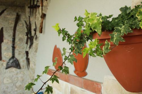 Bed & Breakfast Le Fiorini