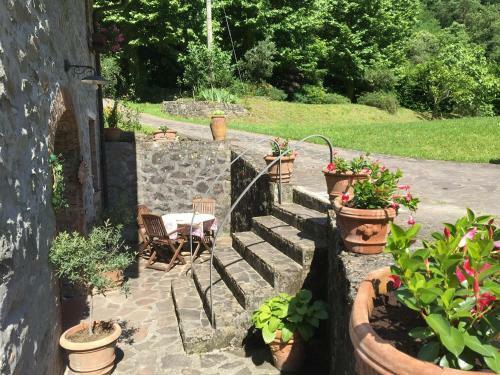 Relax Totale Nel Bosco Lucca