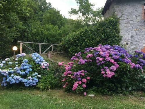 Relax Totale Nel Bosco Lucca