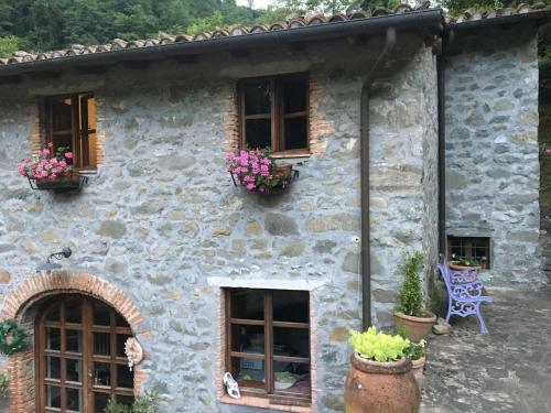 Relax Totale Nel Bosco Lucca
