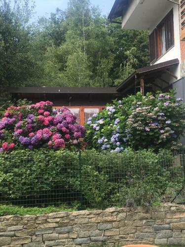 Bed & Breakfast Lo Scoiattolo