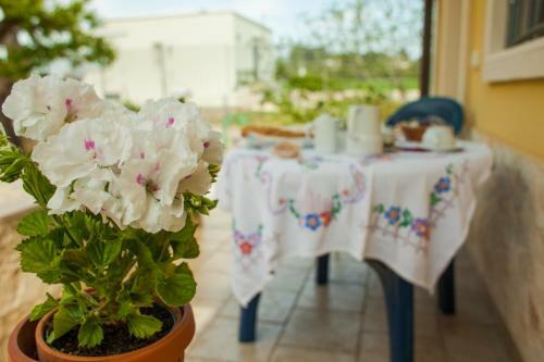 Bed & Breakfast Villa Marida