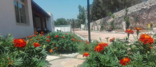 Agroturismo Agriturismo Serra Vecchia