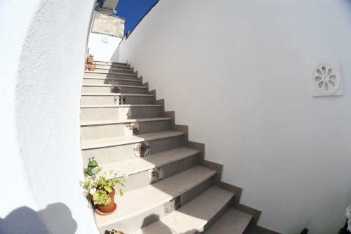 La Perla Del Re