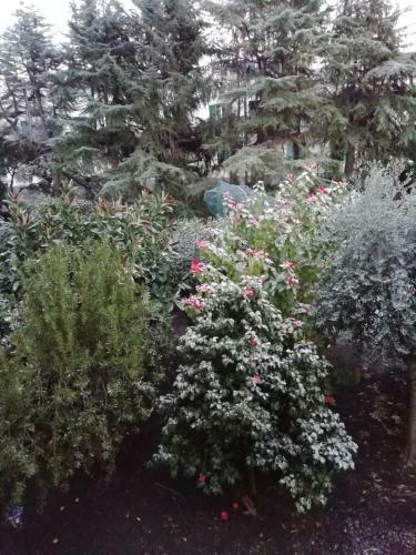 Apartamento Etna Mare Jonio