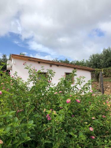 Bed & Breakfast Lo Sguardo Sul Golfo