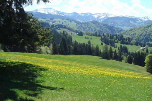 Kur- Und Aktivhotel Allg�uer Hof