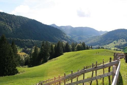 Kur- Und Aktivhotel Allg�uer Hof