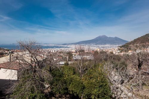 Apartamento Cor Mij
