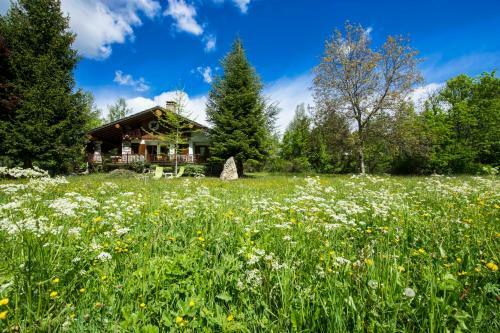 Casa Vacanza '' Pila E Bosco ''