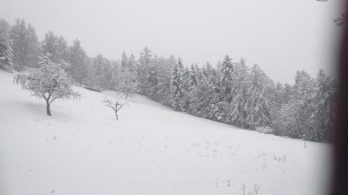 Casa Vacanza '' Pila E Bosco ''