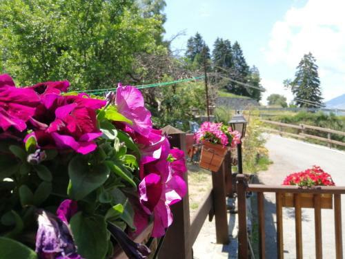 Hostal Affittacamere I Picchi