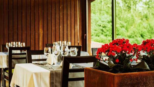 Hotel Agrinho Suites & Spa Ger�s