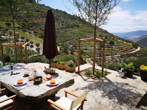 Villa Quinta Das Fontainhas - Douro Valley