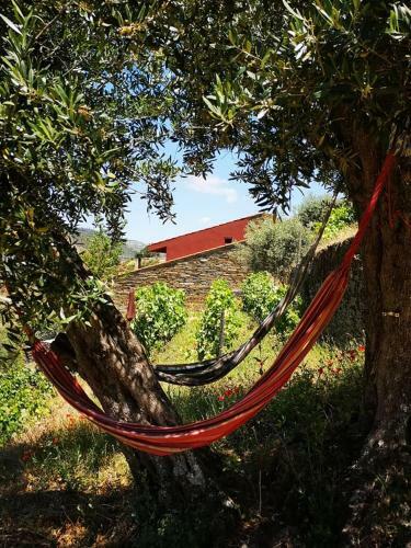 Villa Quinta Das Fontainhas - Douro Valley