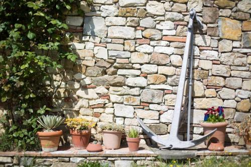 Bed & Breakfast Ancora Del Chianti