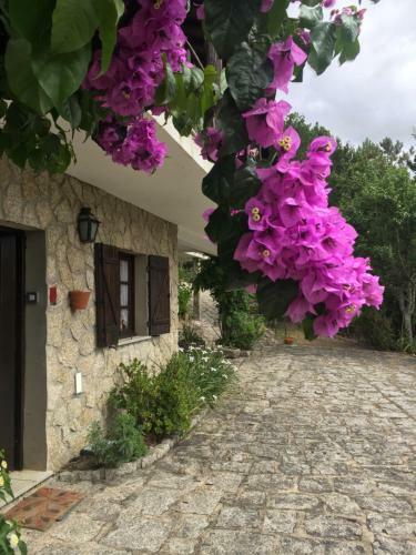 Villa De Fujacos