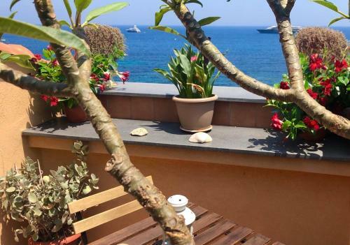 Sea View Apartment