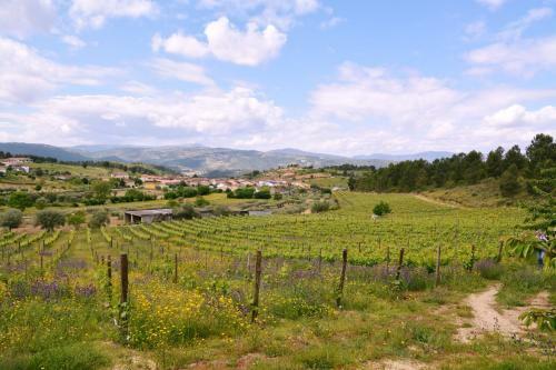 Casas De Selhariz