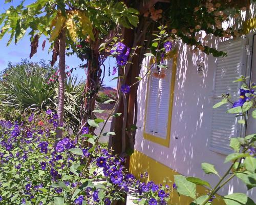 Vila Mediterr�nica