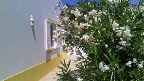 Vila Mediterr�nica