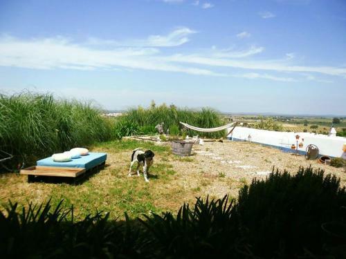 Bed & Breakfast Monte Da Serra
