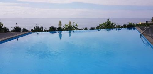 Marina Mar Premium