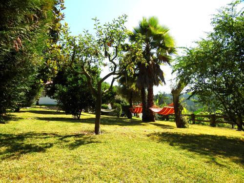 Quinta de S. Vicente 317