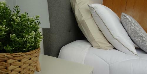 Apartamento Ap Morim`s Vila
