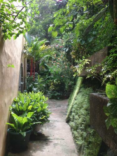 Villa Mango B&B