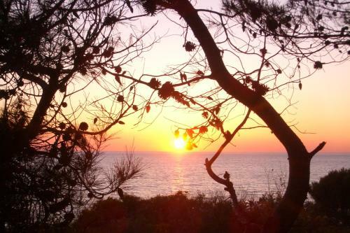 Esclusiva Suite Il Nido D'amore Sul Mare