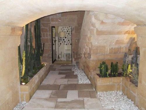 Hostal Casa Del Cactus Luxury Rooms
