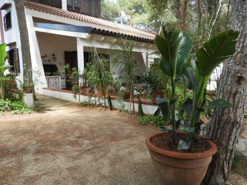 Apartamento Appartamento Yucca Frontemare