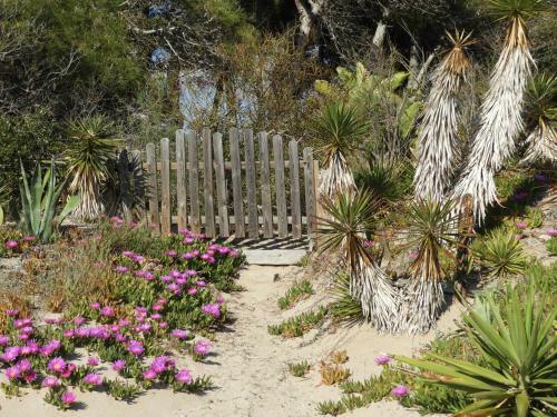 Apartamento Appartamento Yucca Frontemare