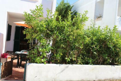 Apartamento Villa Francesca