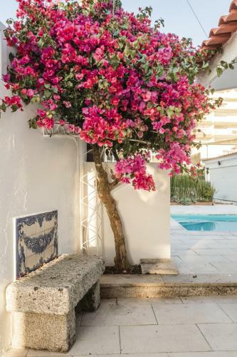 Casa De �ncora