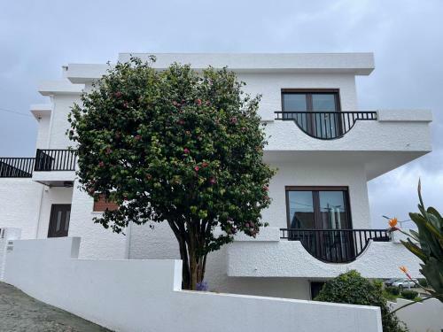 Casa De �ncora