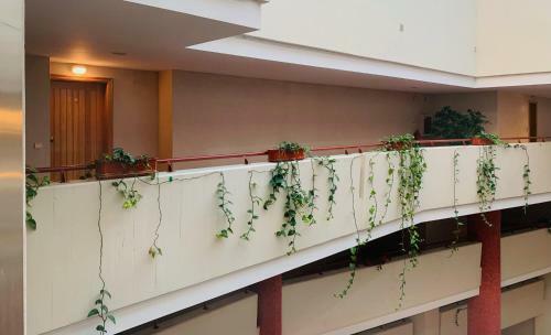 Apartamento P�rola de Viana - Cabedelo