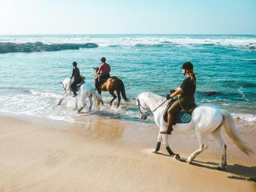 Villa Portugal Active H�bito's Lodge